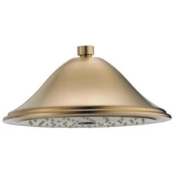Delta Cassidy Champagne Bronze 1-Spray Rain Shower Head 2.5-GPM (9.5-LPM) -Household Items 034449685931xl 1800x1800