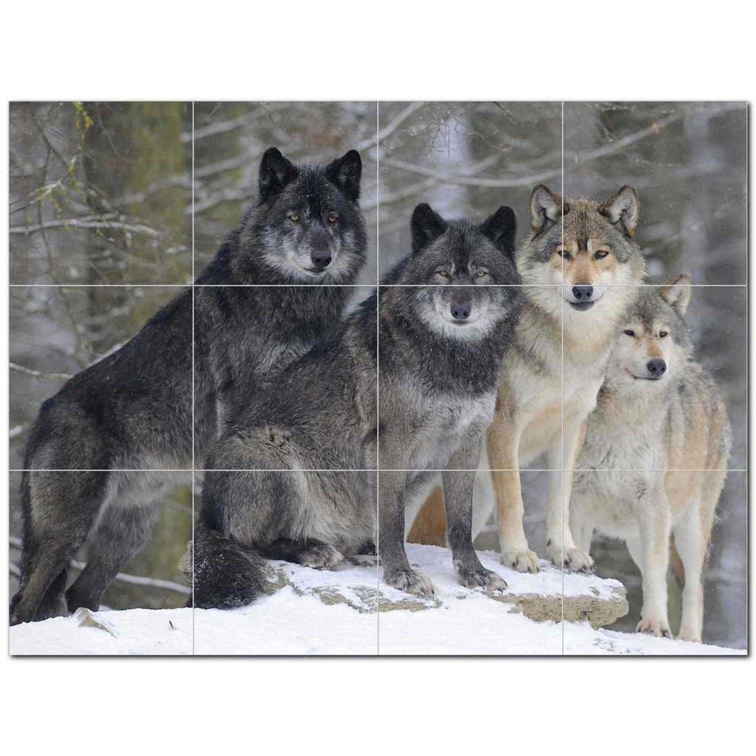 Wolf Wolves Ceramic Tile Mural Kitchen Backsplash Bathroom Shower 403125-S43 1 Wolf Wolves Ceramic Tile Mural Kitchen Backsplash Bathroom Shower 403125-S43