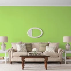Lime Freckle, Green & Sage, Paint And Primer, Glidden High Endurance Plus Interior -Household Items 11a40e79 91ae 4641 8edf 4cfa70b29644 1.db1d914b40dc0e528939e899386b013b 1800x1800