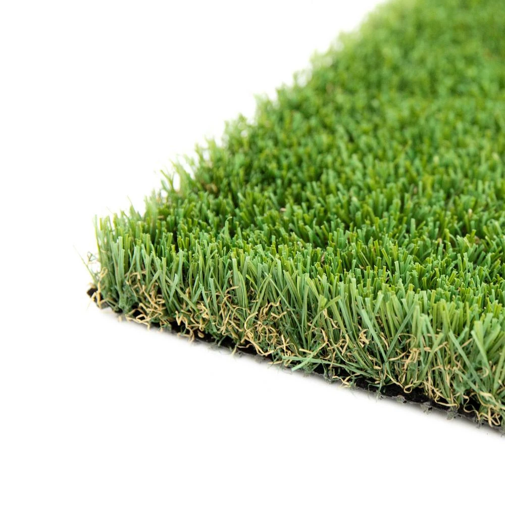 COLOURTREE LABRADOR 40 Artificial Grass Synthetic Lawn Turf Sold By 6 Ft. X 13 Ft. 1 COLOURTREE LABRADOR 40 Artificial Grass Synthetic Lawn Turf Sold By 6 Ft. X 13 Ft.