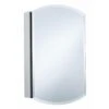 Archer 20 In. W X 31 In. H Single Door Mirrored Recessed Medicine Cabinet In Anodized Aluminum