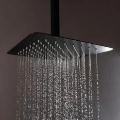 3-Spray With 2.5 GPM 12 In. 2 Functions Tub Ceiling Mount Dual Shower Heads In Spot In Matte Black (Valve Included) 16 3-Spray With 2.5 GPM 12 In. 2 Functions Tub Ceiling Mount Dual Shower Heads In Spot In Matte Black (Valve Included) -Household Items 2dc547de461ed341edfe4a893d29f921 1800x1800