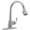 Market Single-Handle Pull-Down Sprayer Kitchen Faucet In Chrome