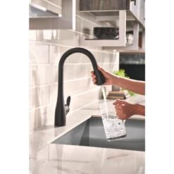Arbor Single-Handle Pull-Down Sprayer Kitchen Faucet With Reflex And Soap/Lotion Dispenser In Matte Black -Household Items 4145d581d5d74ba691e98f736b92d515 1800x1800