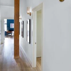 ColorPlace ULTRA Interior Paint & Primer, Silver Reflection, Satin, 1 Gallon 15 ColorPlace ULTRA Interior Paint & Primer, Silver Reflection, Satin, 1 Gallon -Household Items 452d9947 666c 454a a061 fbfa18da28c8.54b8574ac4b95d8636f44c0c7137632c 1800x1800