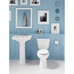 KOHLER Archer 20-7/16 In. Vitreous China Pedestal Sink Basin In White With Overflow Drain -Household Items 460444f22c702416c30cc719442f9056 1800x1800