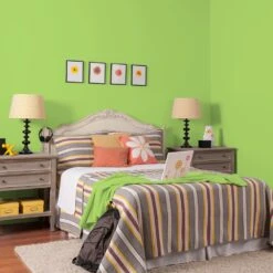 Lime Freckle, Green & Sage, Paint And Primer, Glidden High Endurance Plus Interior -Household Items 4a705042 a5df 4a2c acac 2d7e91868c57 1.0a4a1fae3ad702e40234f0f0437c1b46 1800x1800