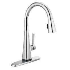 Lenta Single-Handle Pull-Down Sprayer Kitchen Faucet With ShieldSpray Technology SpotShield Stainless -Household Items 782597bd890eca4b1937590bb2626ae7 11995b17 c2ca 4c67 b425 6a310da410ab 1800x1800