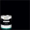 ColorPlace Pre Mixed Ready To Use, Interior Paint, Onyx Black, Flat Finish, 1 Gallon