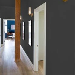 ColorPlace ULTRA Interior Paint & Primer, Onyx Black, Flat, 1 Gallon -Household Items a5fc47e2 79b2 41a5 8a0d fe29f0ecbab1.83b02430d358274c1d4d3caa9be68c7c 1800x1800