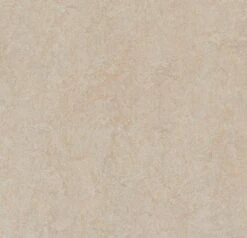 FORBO Marmoleum Click CinchLoc 12"x36" Planks 7 Planks/20.34 Sf