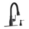 Kagan Single-Handle Pull-Down Sprayer Kitchen Faucet With Soap Dispenser In Bronze
