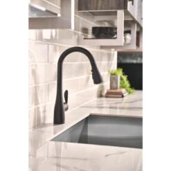 Arbor Single-Handle Pull-Down Sprayer Kitchen Faucet With Reflex And Soap/Lotion Dispenser In Matte Black -Household Items cf1bc9d455a0d7a9f25152af7206ad14 1800x1800