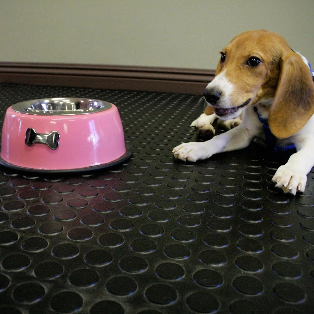 Rubber-Cal Coin Grip 4 Ft. X 25 Ft. Dark Grey Commercial Grade PVC Flooring 6 Rubber-Cal Coin Grip 4 Ft. X 25 Ft. Dark Grey Commercial Grade PVC Flooring - Image 6